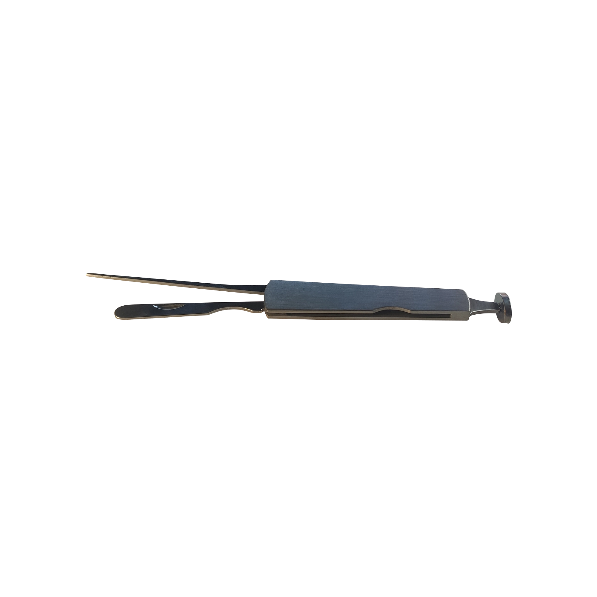 Image-1