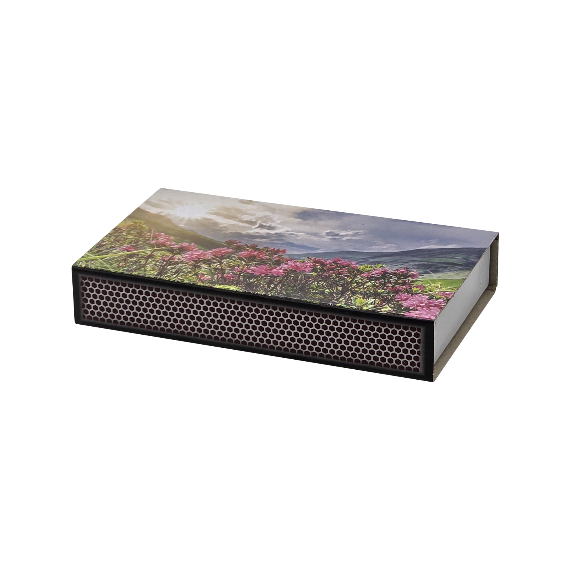 Image-1
