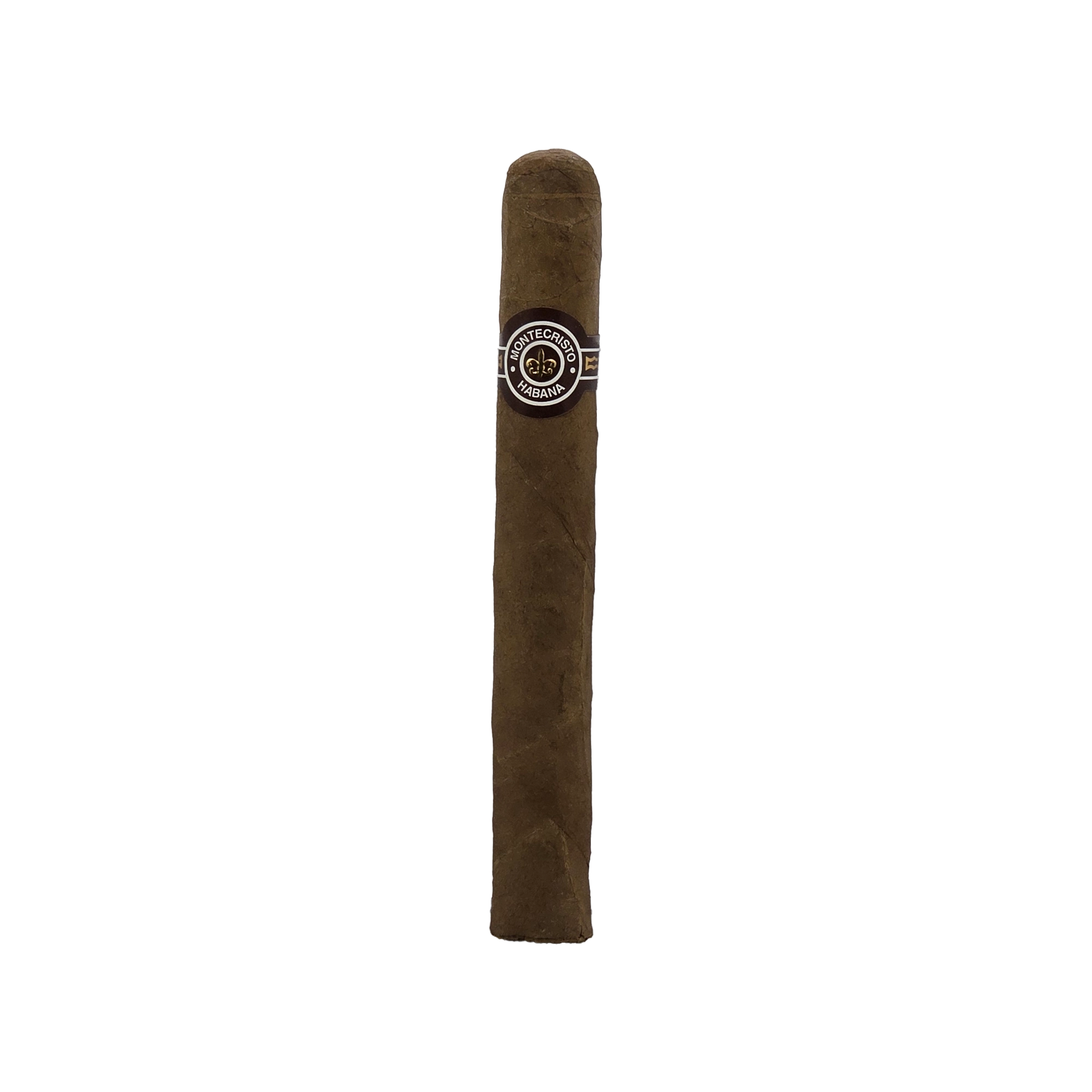 Image-1