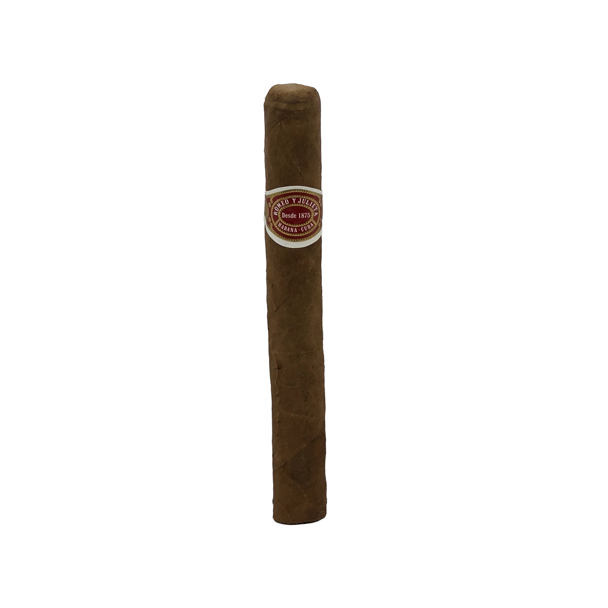 Image-1