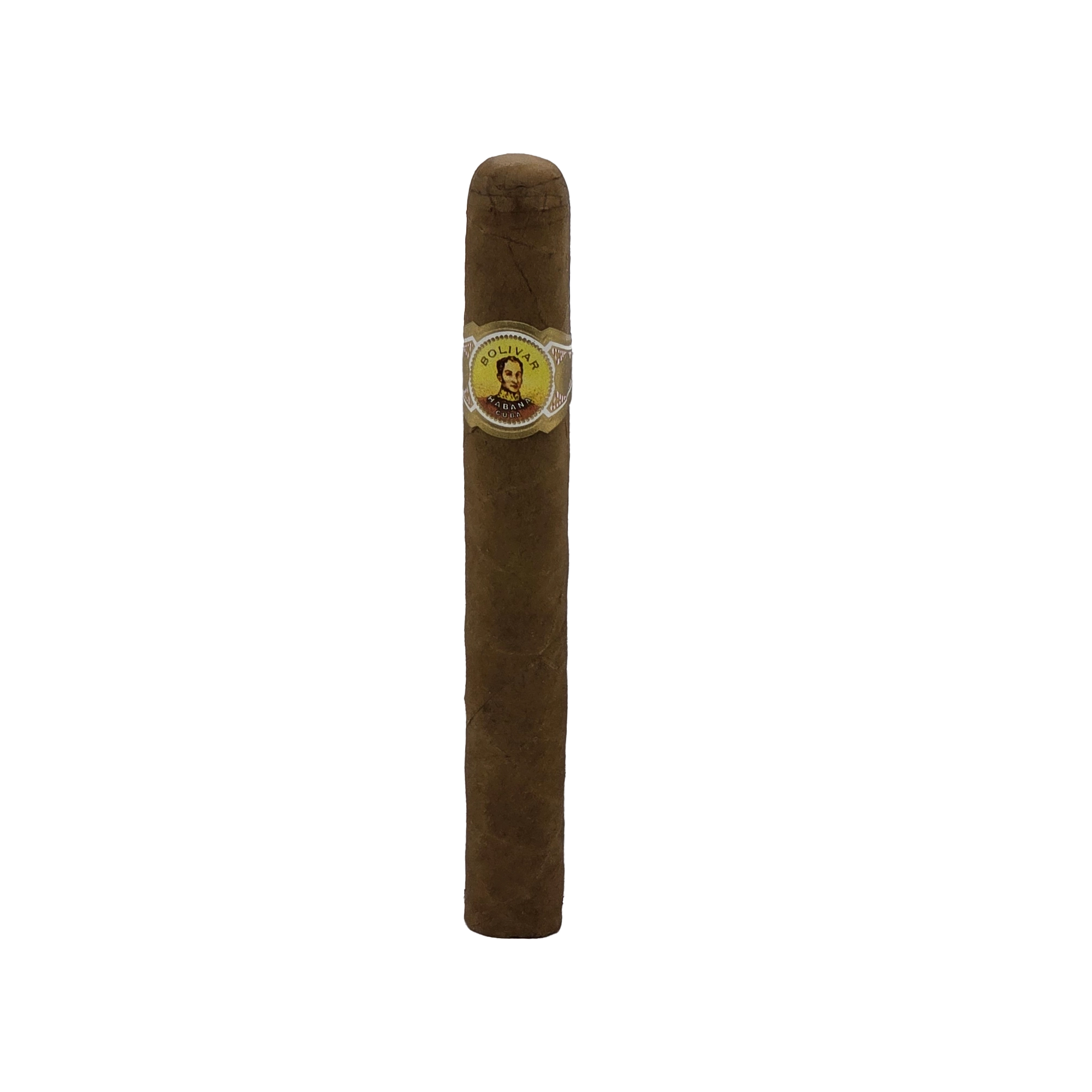 Image-1